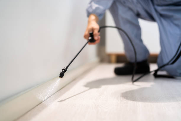 Bed Bug Pre-Treatment Preparation Assessment in Herald Harbor