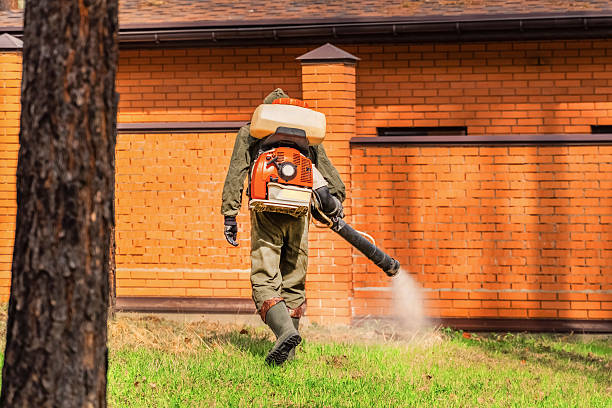 Bed Bug Clearance Verification and Documentation in Herald Harbor
